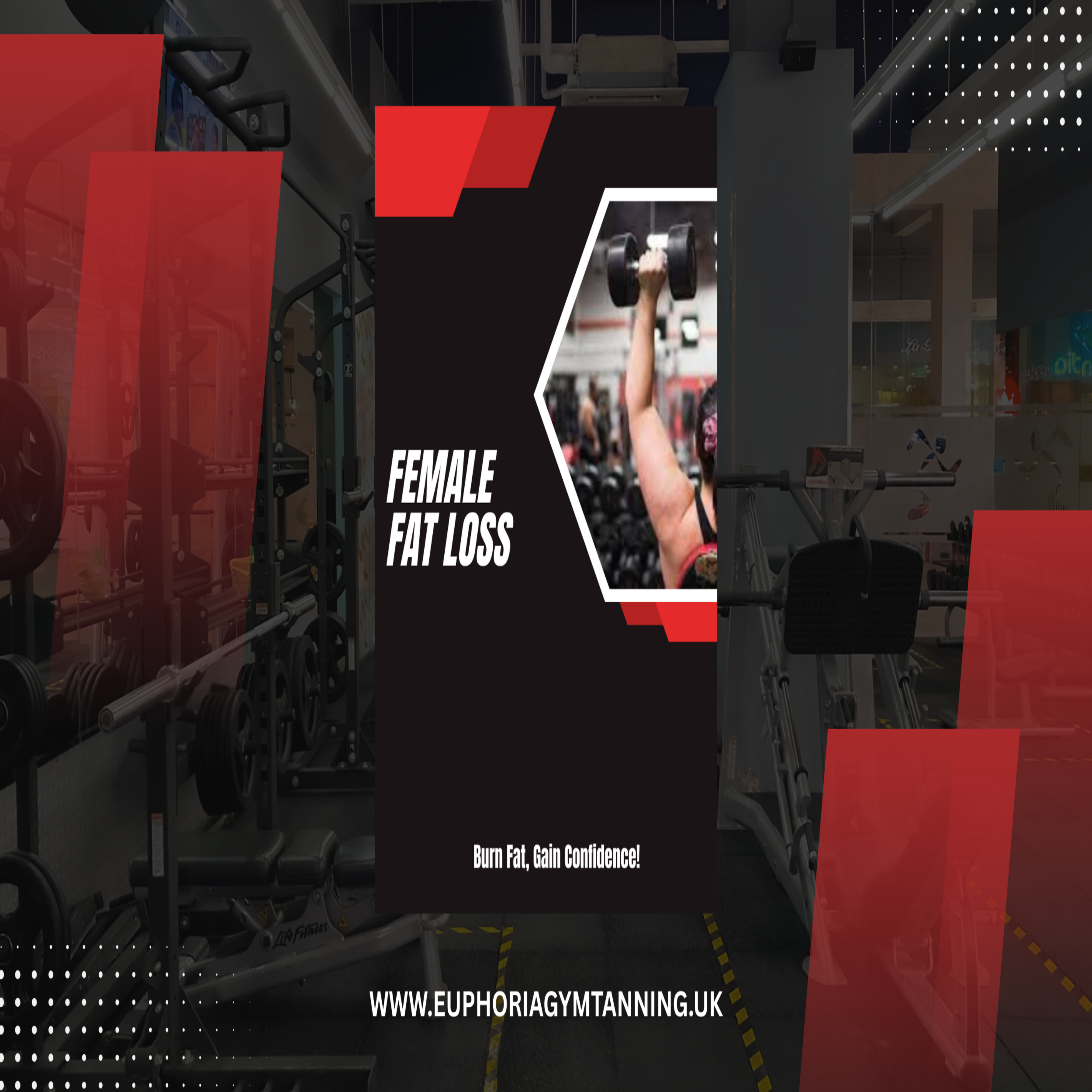 female 12 week shred program, 12 week shred program women, women's online shred program, female fat loss program, 12 week transformation program women, women's cutting program, female body transformation, online fitness program women, 12 week fat loss plan women, female workout program online, women's shredding program, lean muscle program women, female fitness transformation, 12 week cut program women, online personal training women, female body recomposition, women's fat burning program, shred program for