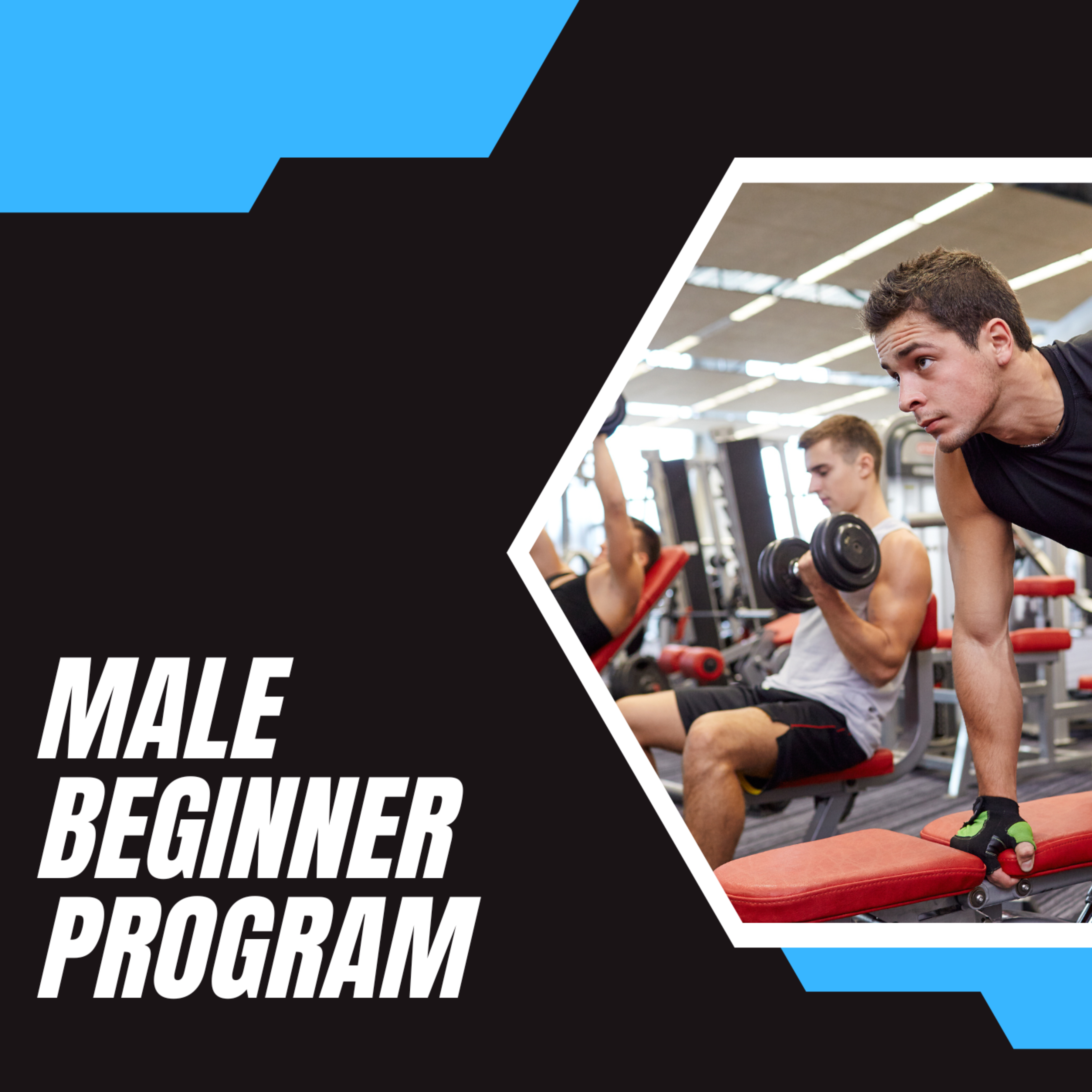 Start lifting with confidence using Euphoria's Male Beginner Gym Program. Build strength, muscle, and consistency with this easy-to-follow 6-week gym plan for men.